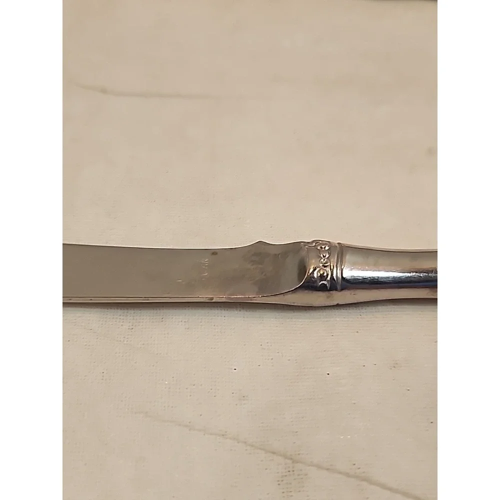 Set Of Six Vintage‎ Stainless Steel Dinner Knives with Faux Bamboo Handles